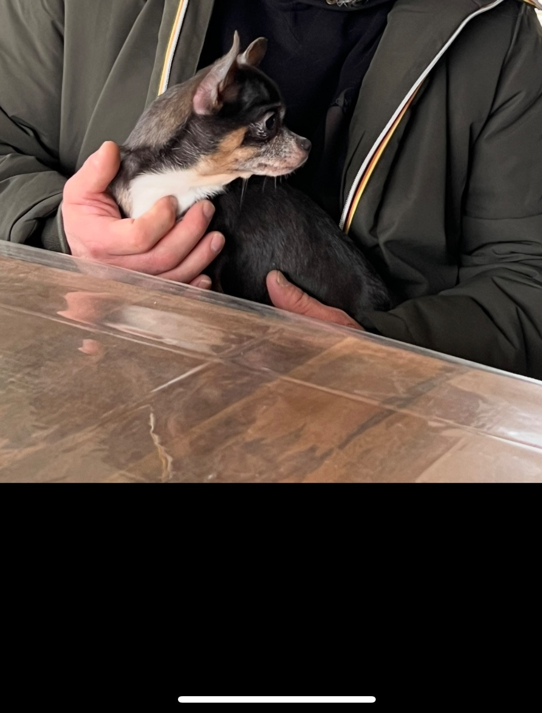 Tahiti pearl des hobereaux d’argogne